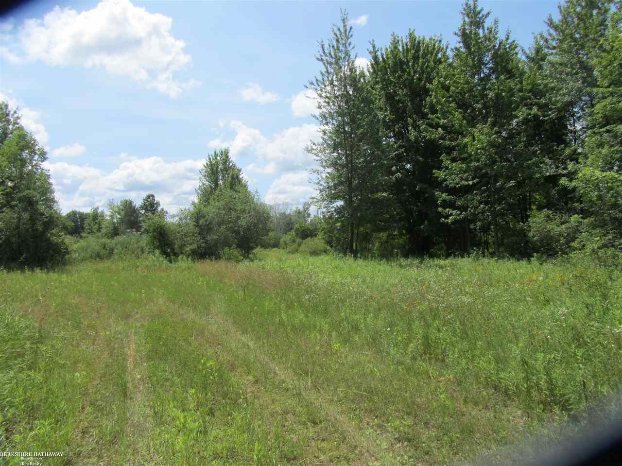 0 West Wellman Line Road Yale, MI 48097 - Photo 7 of 10