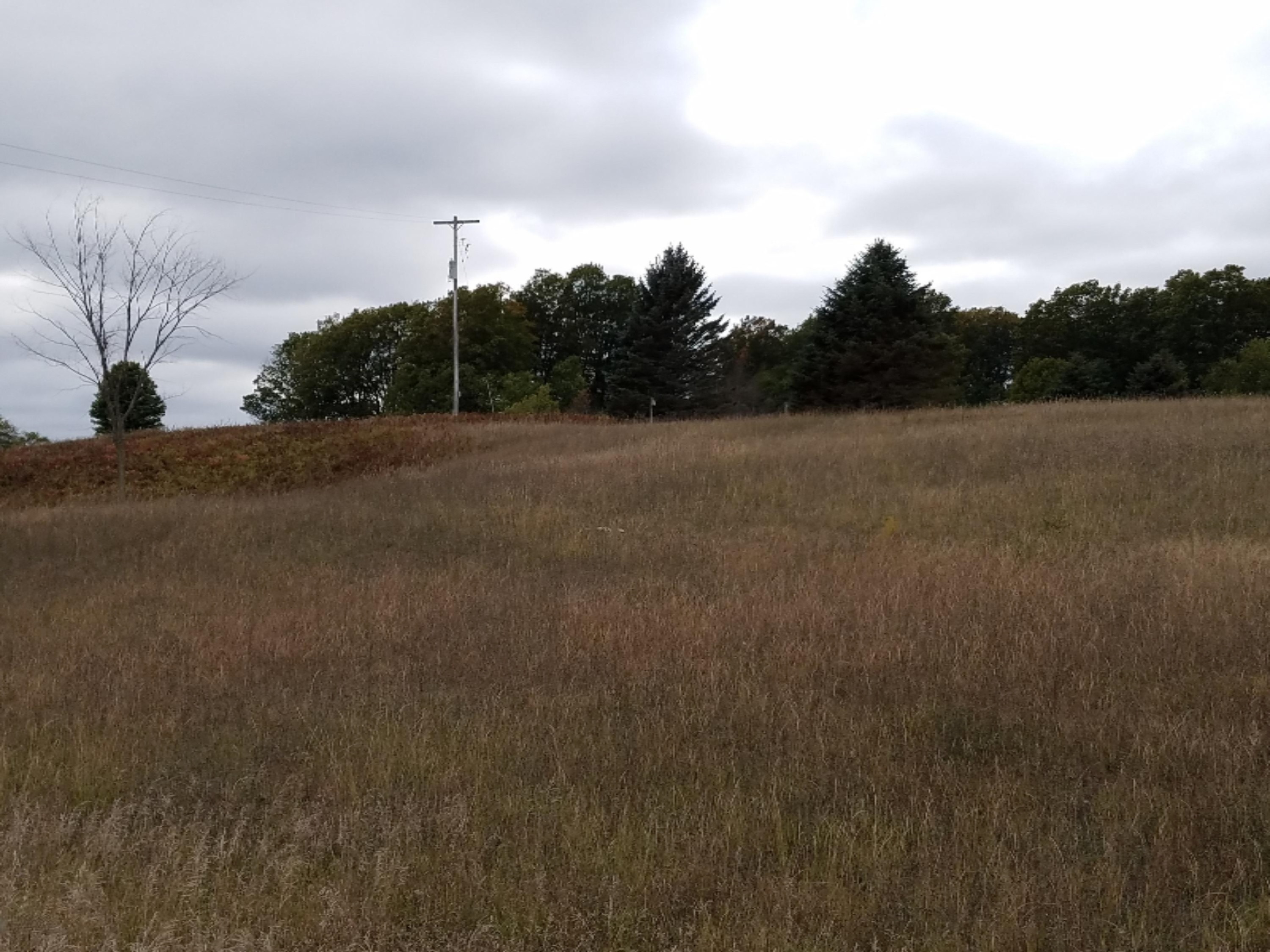 6224 Chief Road Brethren, MI 49619 - Photo 3 of 3 pic 3