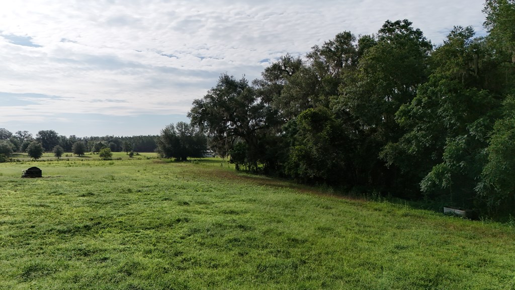 Vacant 145th Road Live Oak, FL 32060 - Photo 34 of 42