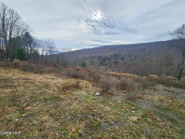 $49,000 | 143 Rebel Ridge Road, Jefferson, NY 12093