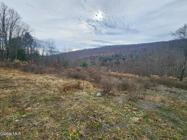 $49,000 | 143 Rebel Ridge Road, Jefferson, NY 12093