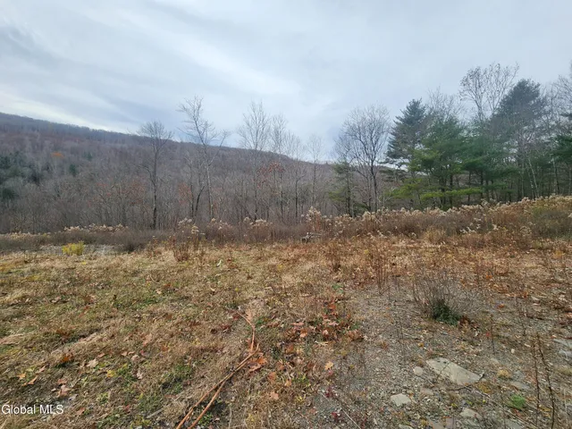 $49,000 | 143 Rebel Ridge Road, Jefferson, NY 12093