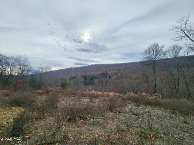 $49,000 | 143 Rebel Ridge Road, Jefferson, NY 12093