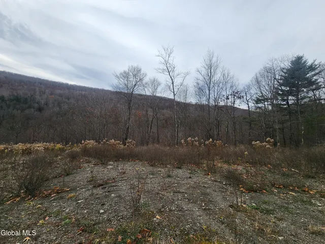 $49,000 | 143 Rebel Ridge Road, Jefferson, NY 12093