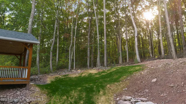 a view of backyard with green space