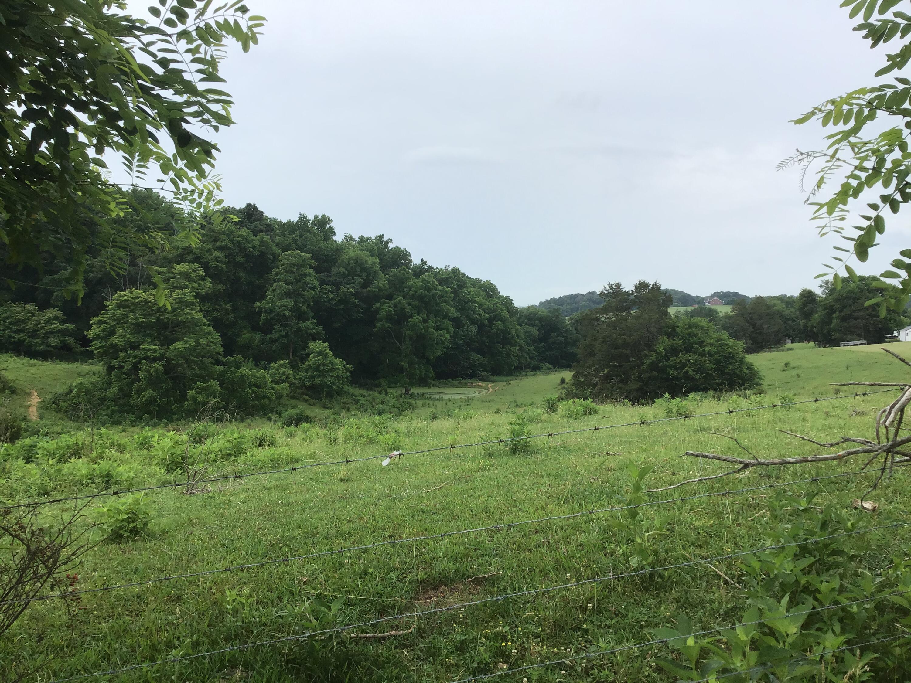 Lot 23 Gregg Mill Road, Unit 23 Greeneville, TN 37743 - Photo 1 of 7 A