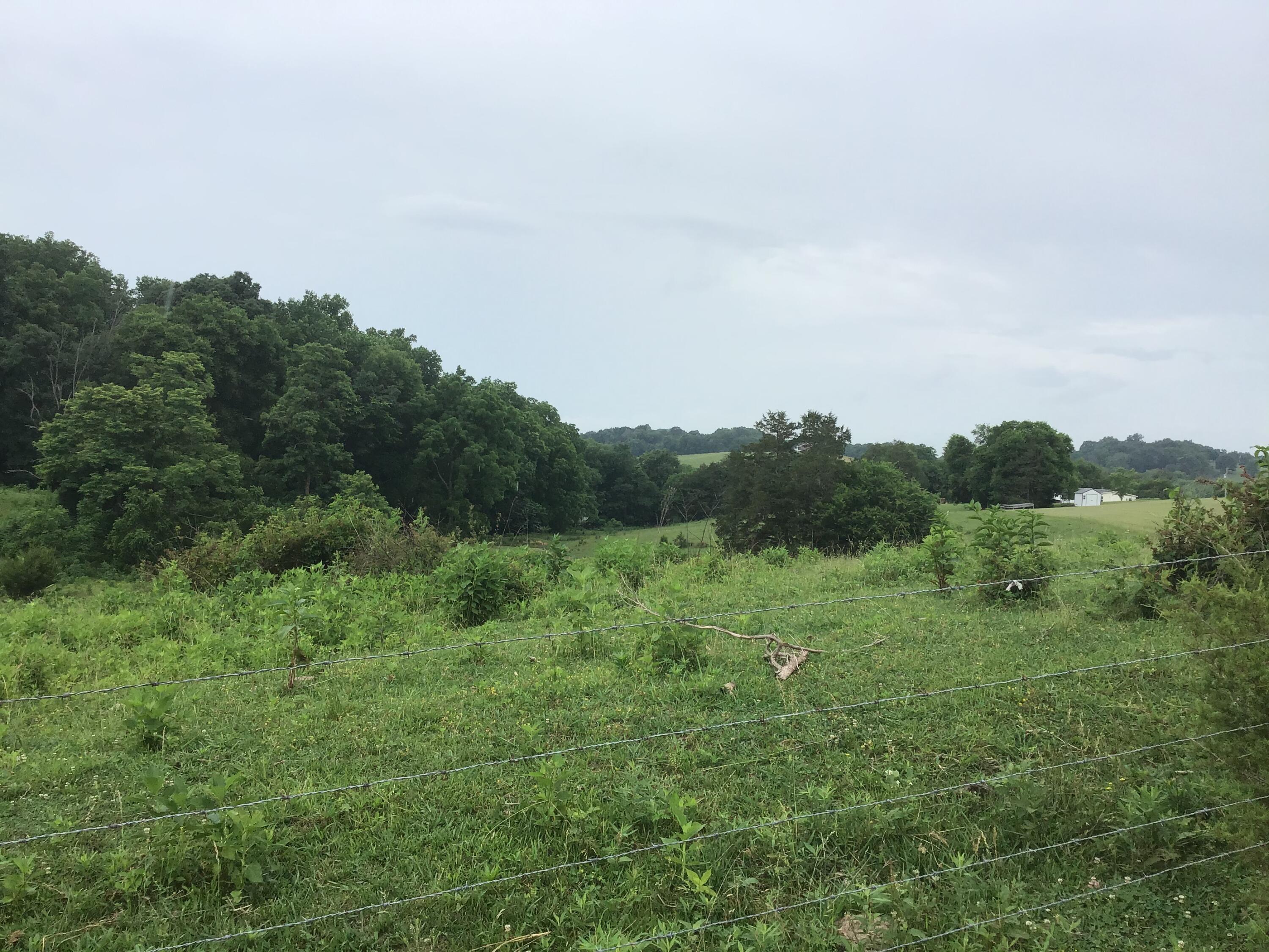 Lot 23 Gregg Mill Road, Unit 23 Greeneville, TN 37743 - Photo 2 of 7 B