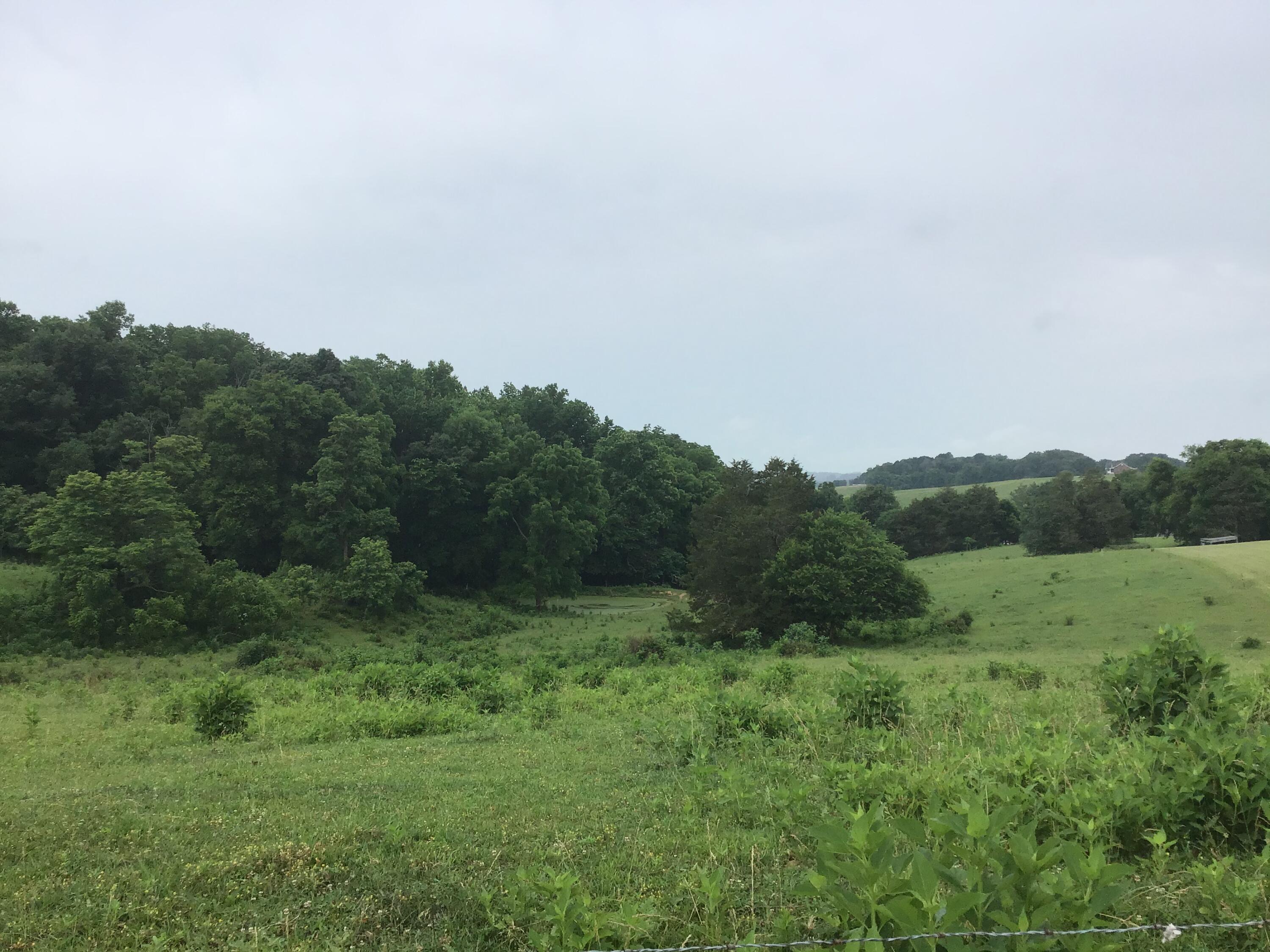 Lot 23 Gregg Mill Road, Unit 23 Greeneville, TN 37743 - Photo 4 of 7 D