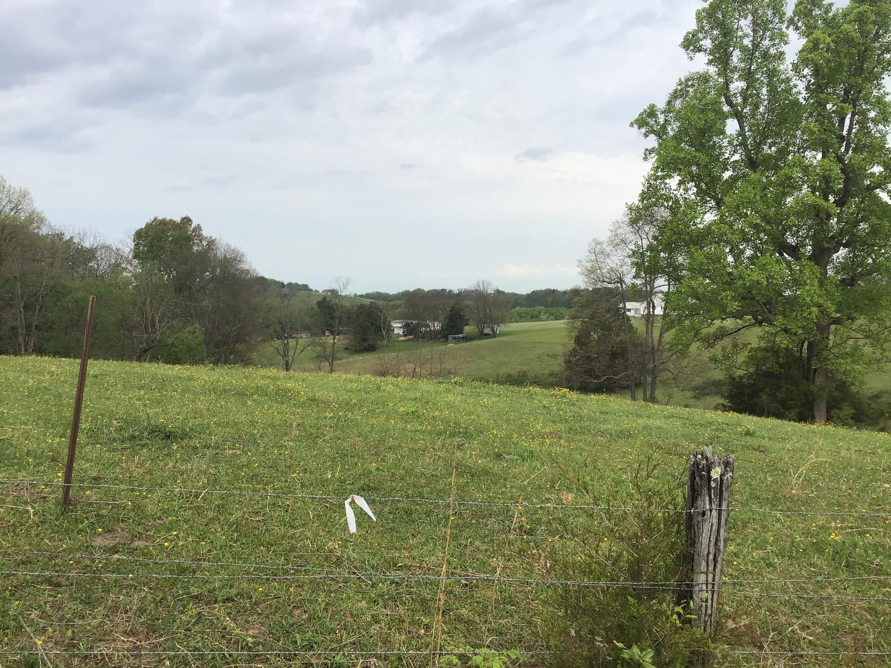 Lot 23 Gregg Mill Road, Unit 23 Greeneville, TN 37743 - Photo 5 of 7 E