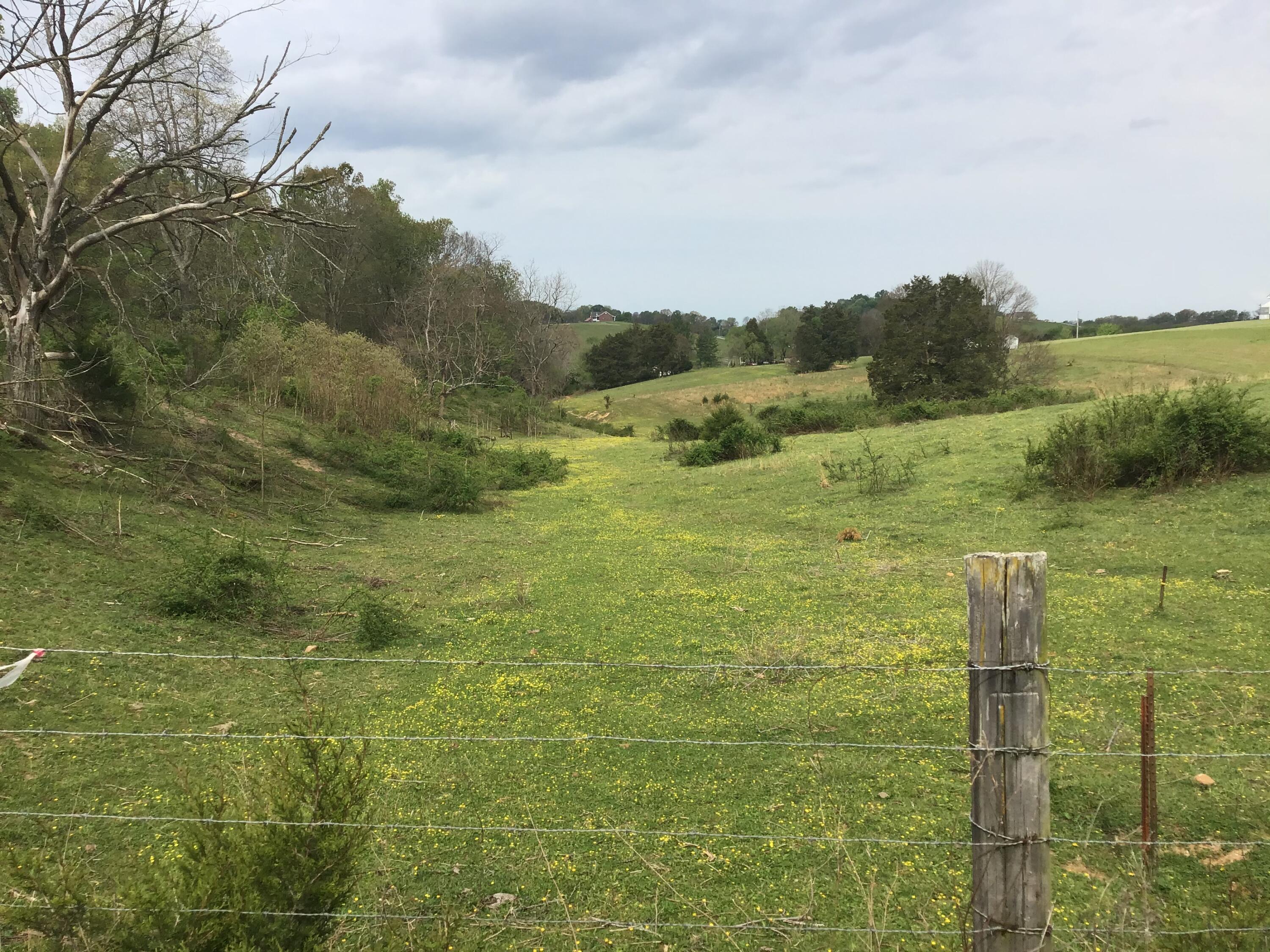 Lot 23 Gregg Mill Road, Unit 23 Greeneville, TN 37743 - Photo 7 of 7 G