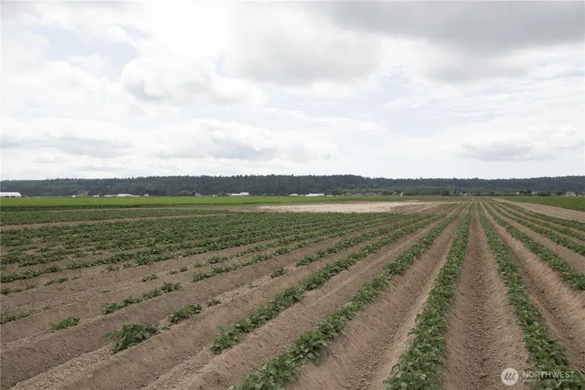 a view of a lake with a big yard