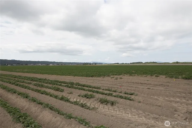 a view of an ocean beach