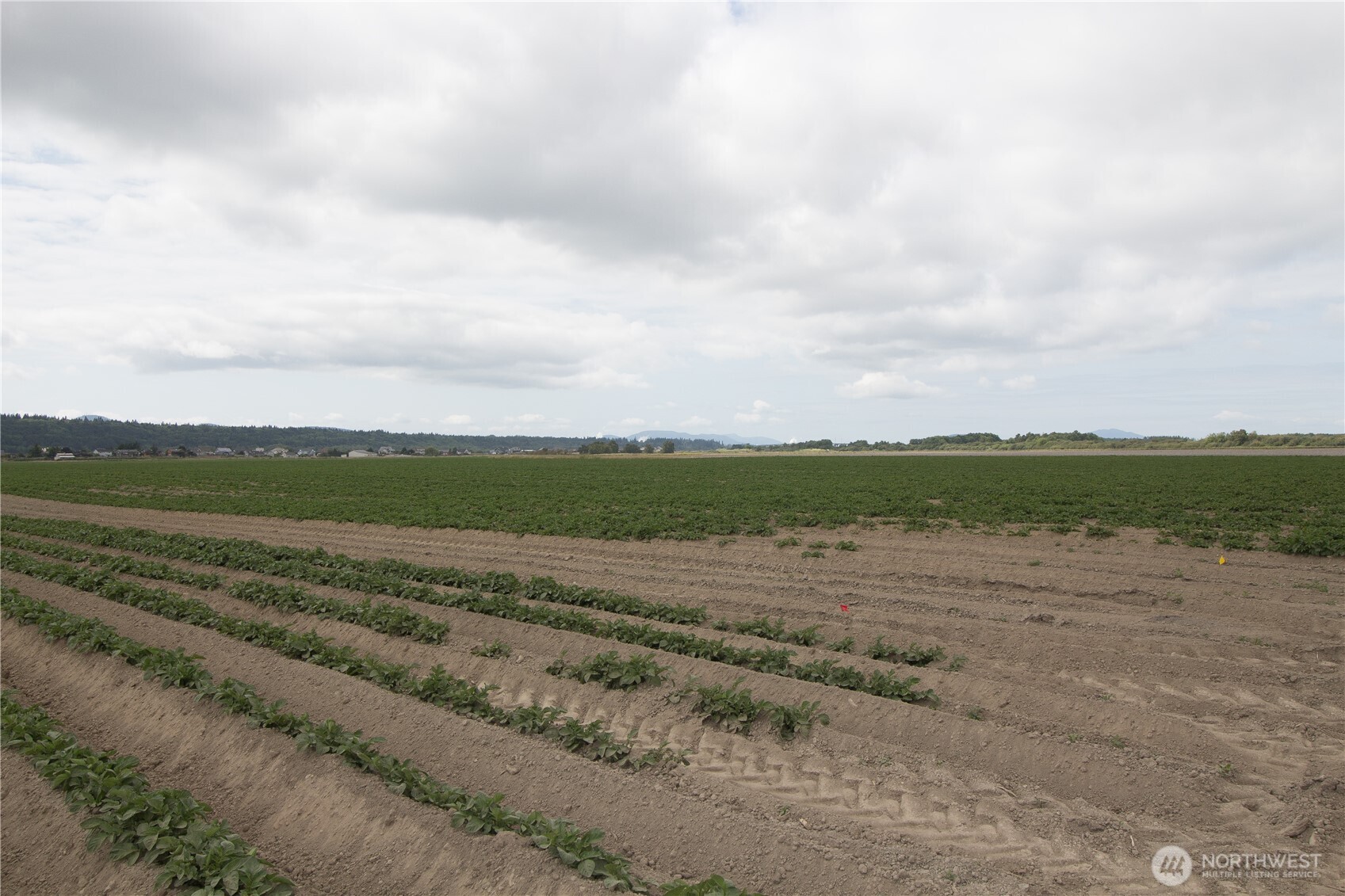 0 Downey Road La Conner, WA 98257 - Photo 7 of 10 a view of an ocean beach