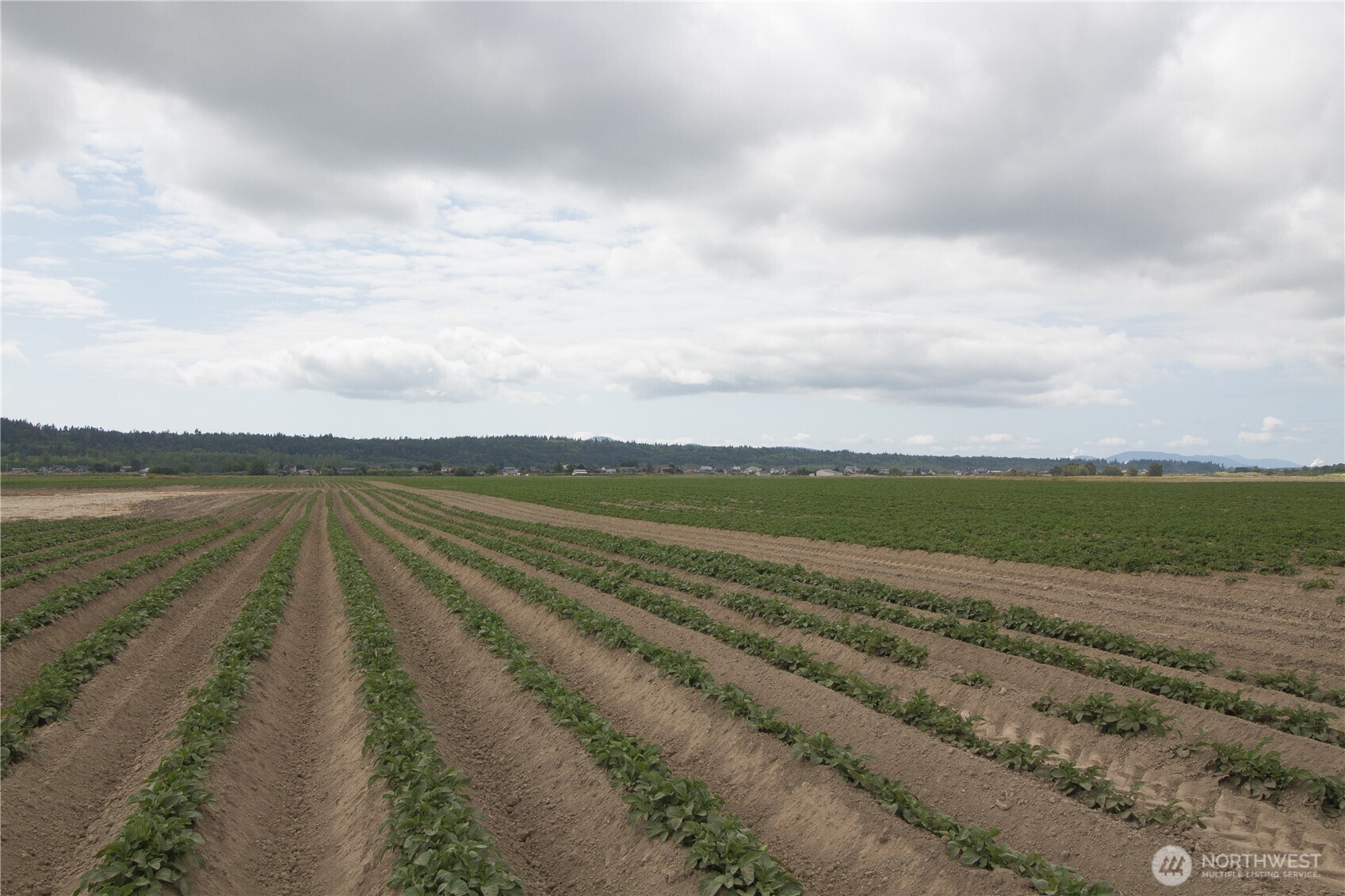 0 Downey Road La Conner, WA 98257 - Photo 8 of 10 a view of an ocean