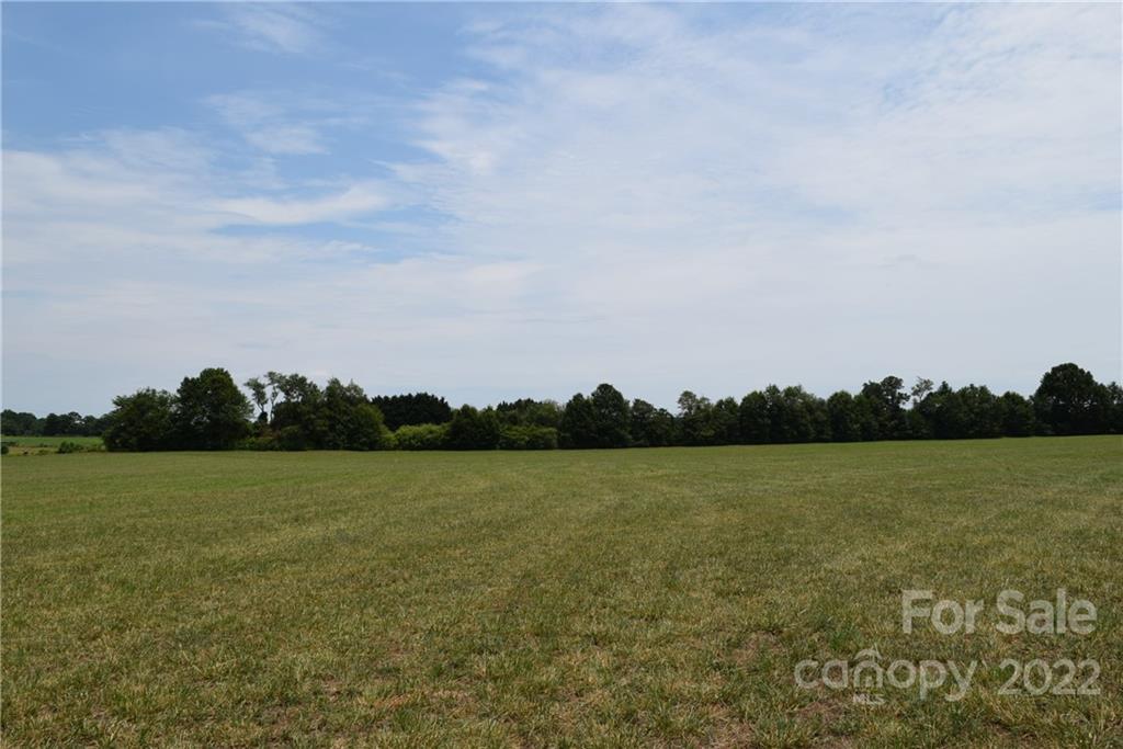 0 Lambs Grill Road Rutherfordton, NC 28139 - Photo 7 of 12