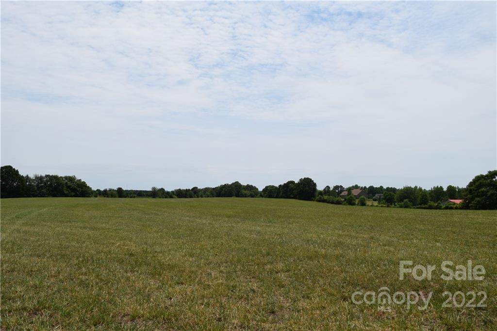 0 Lambs Grill Road Rutherfordton, NC 28139 - Photo 8 of 12