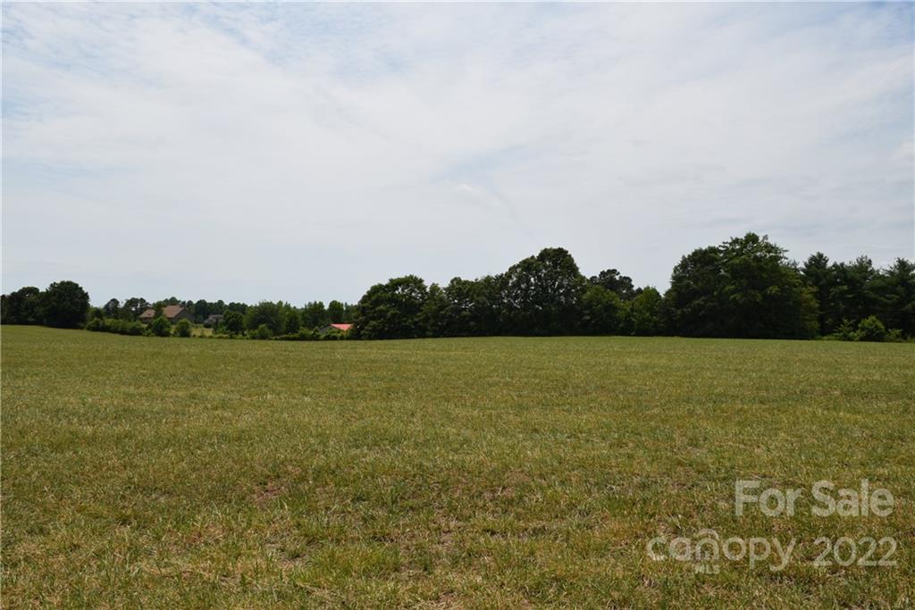 0 Lambs Grill Road Rutherfordton, NC 28139 - Photo 9 of 12