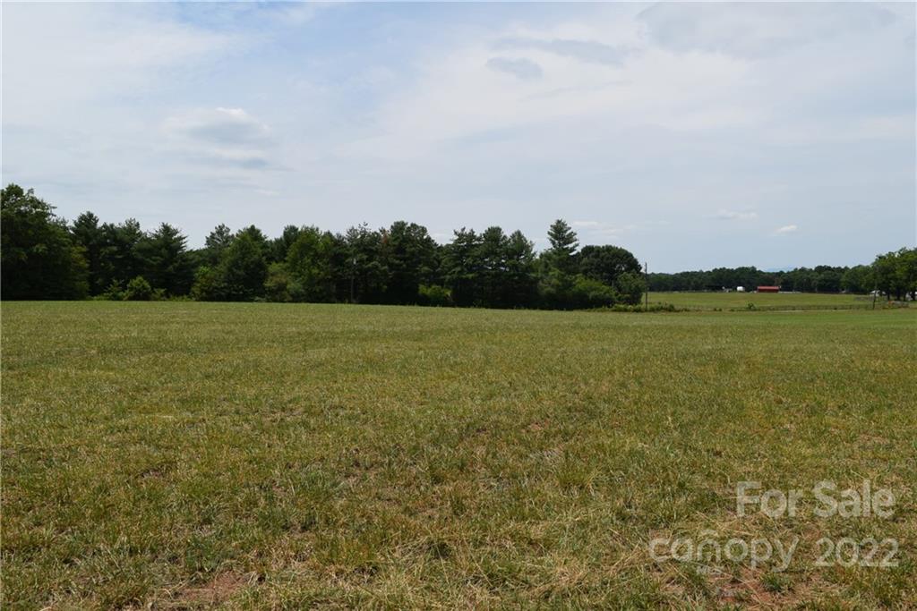 0 Lambs Grill Road Rutherfordton, NC 28139 - Photo 10 of 12