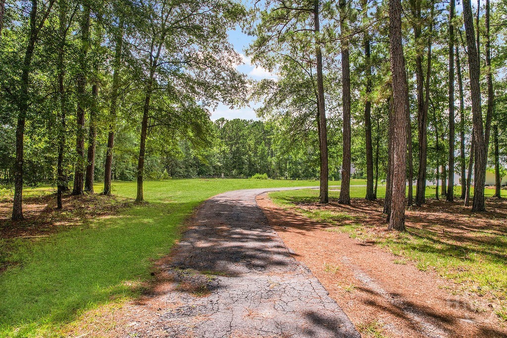 2384 Mt Olivet Church Road Fleming, GA 31309 - Photo 5 of 30 Gallery Image 5