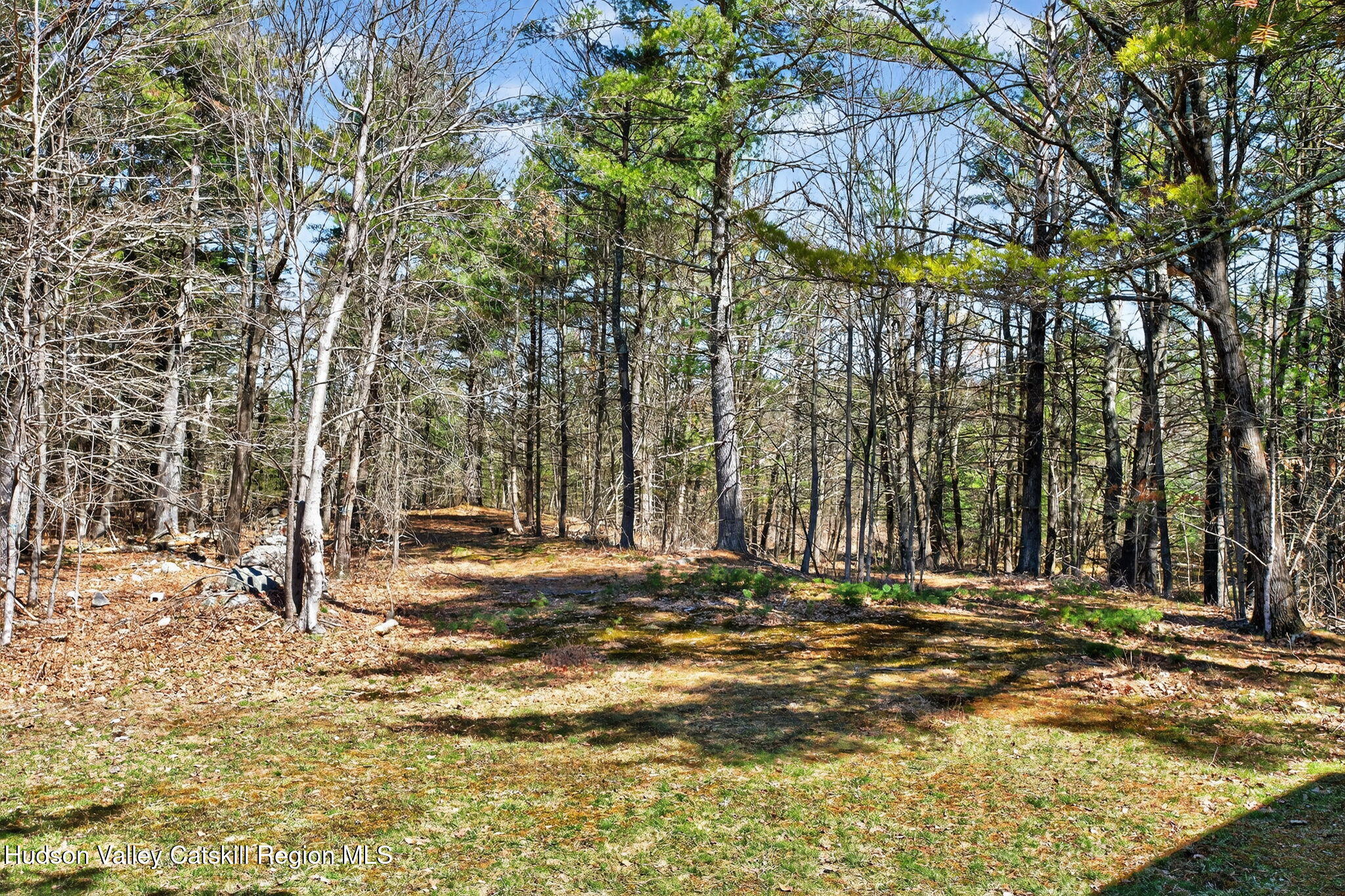 220 Mountain House Road Palenville, NY 12463 - Photo 17 of 20 17