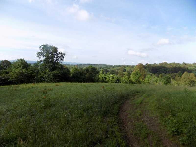 222 Upper Sandy Hollow Road Dunbar, PA 15431 - Photo 5 of 14 Land.