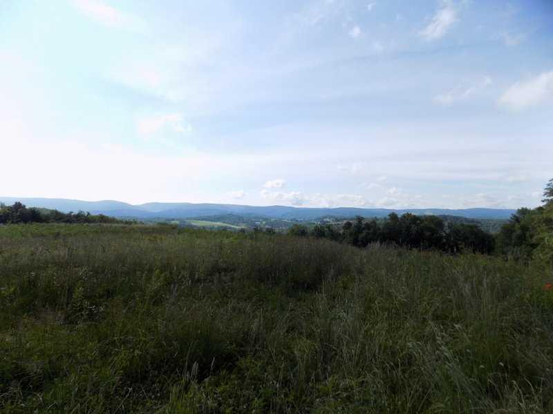 222 Upper Sandy Hollow Road Dunbar, PA 15431 - Photo 8 of 14 Land.