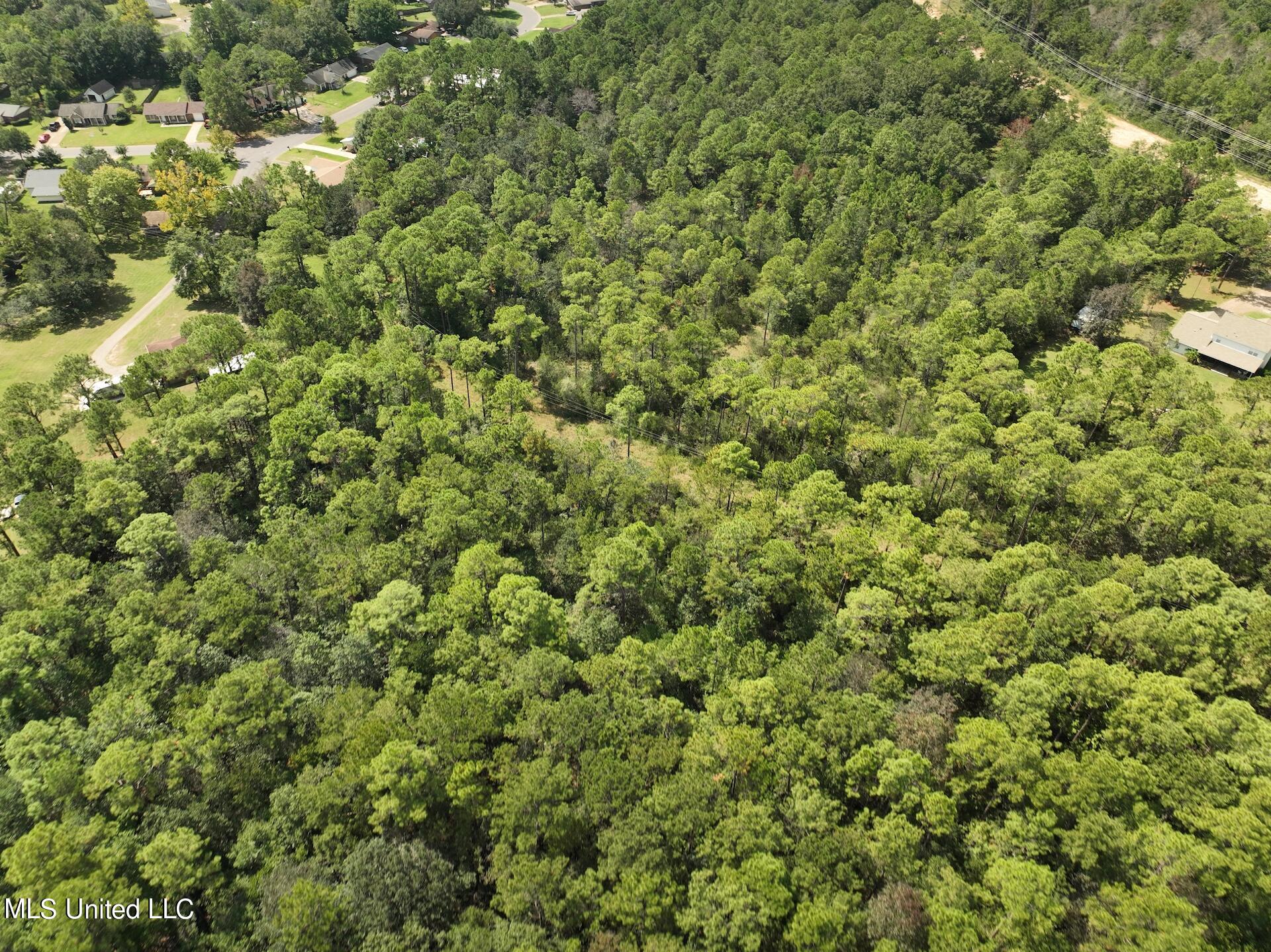 0 Roys Road Gautier, MS 39553 - Photo 8 of 9 DJI-0518