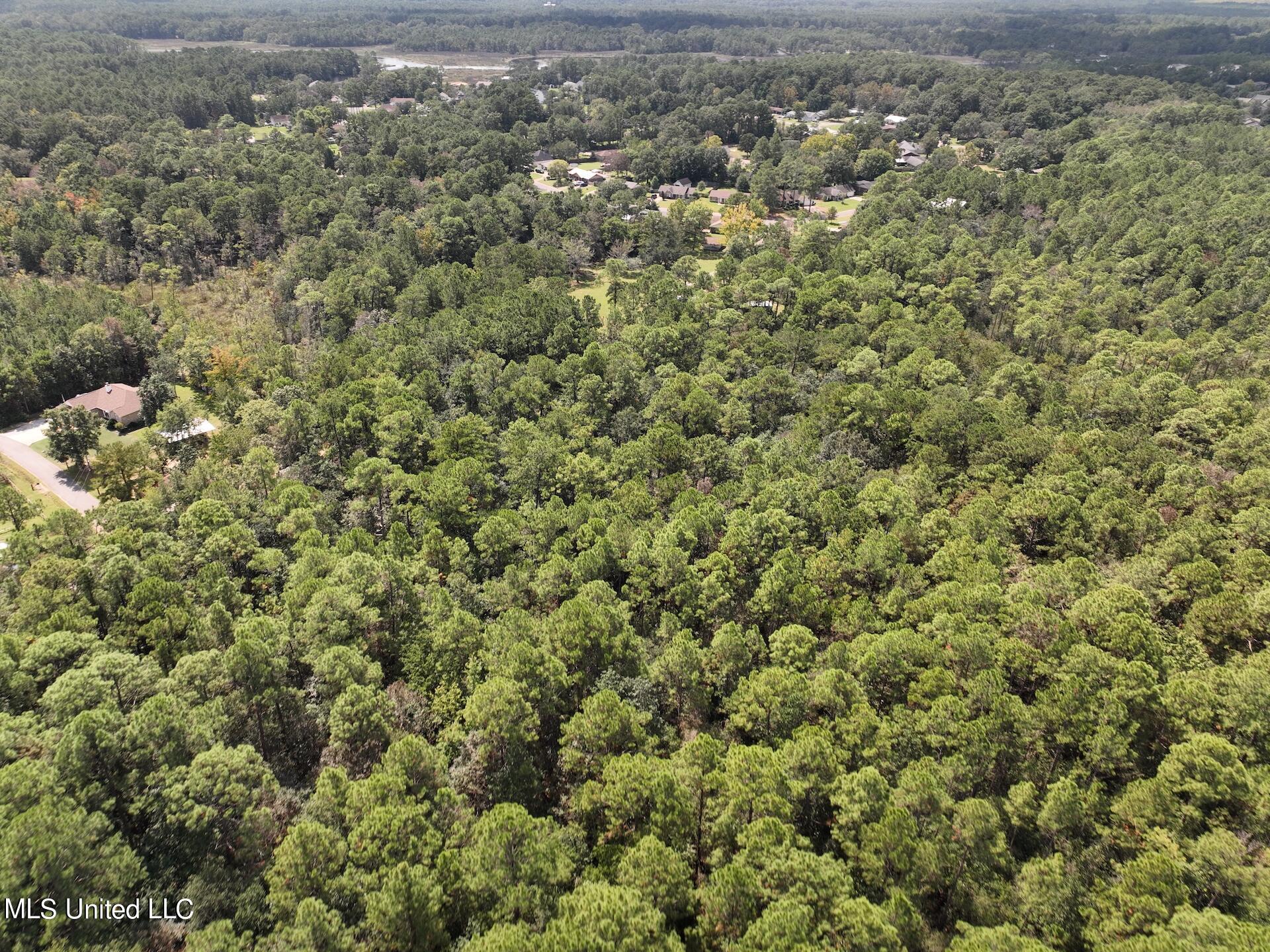 0 Roys Road Gautier, MS 39553 - Photo 9 of 9 DJI-0517