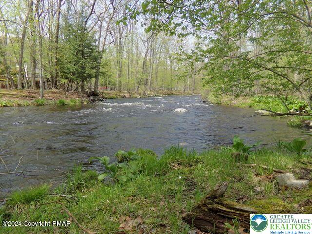 5933 Decker Road Bushkill, PA 18324 - Photo 49 of 51 a view of backyard with green space