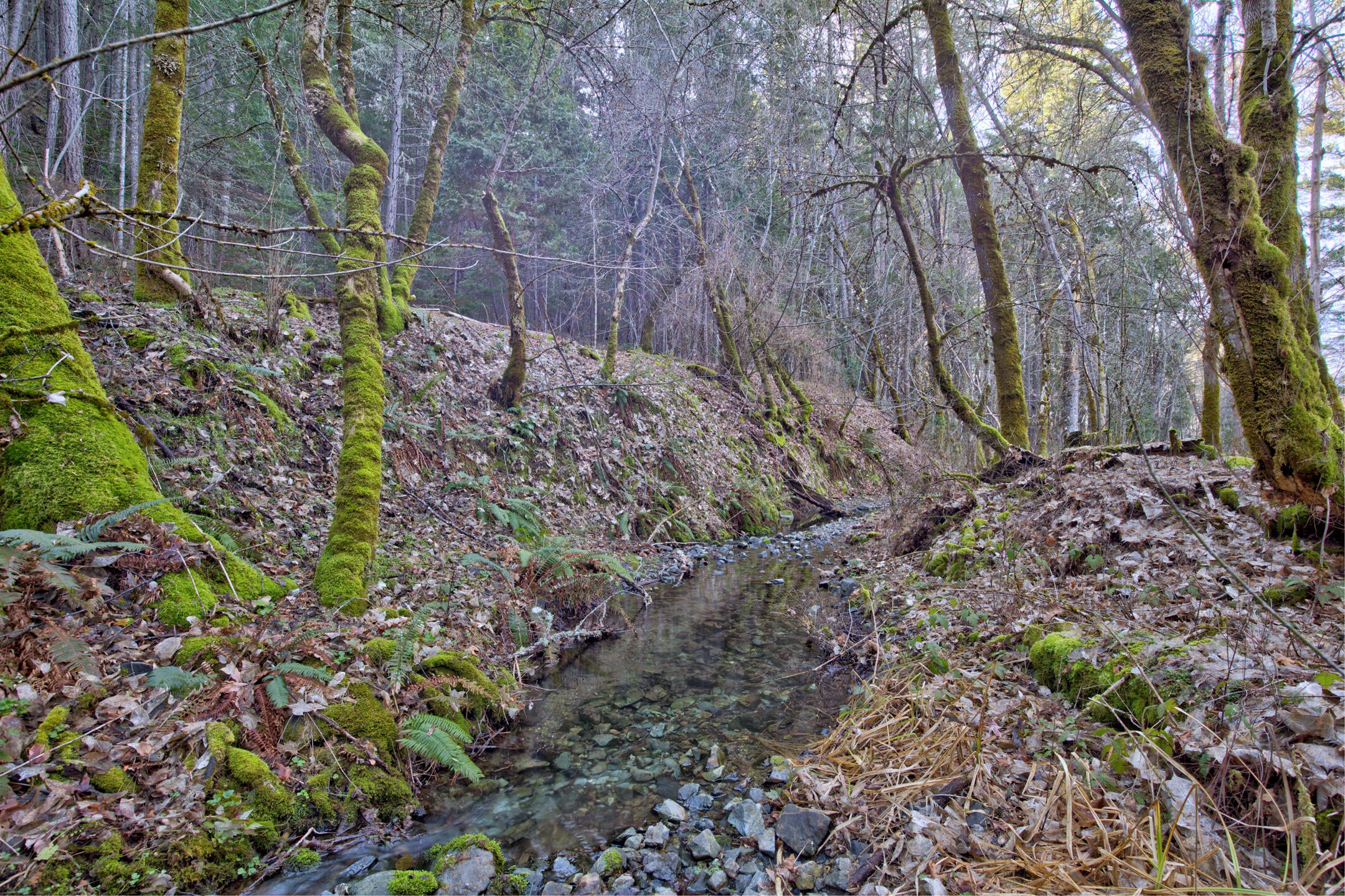 1015 Panther Gulch Road Williams, OR 97544 - Photo 45 of 49 Panther Creek