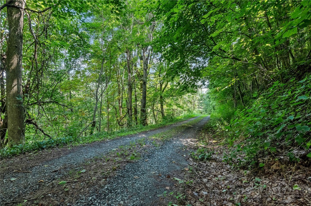 Little Windfall Road Lansing, NC 28643 - Photo 23 of 37 Gallery Image 23