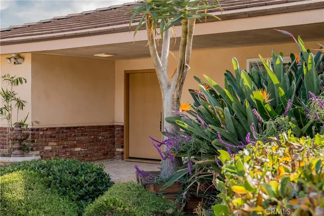 a view of a potted plant on the side of a building