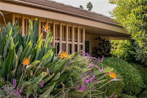 a front view of a house with plants