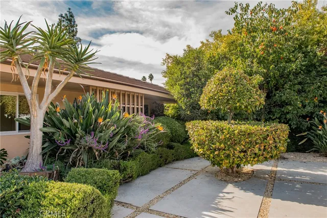 a view of a garden with plants