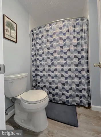 a white toilet sitting next to a shower curtain