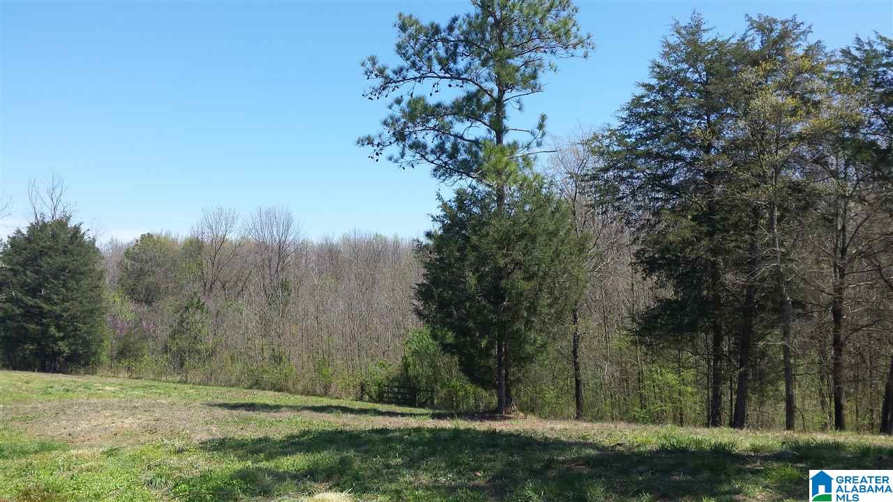 Double Bridge Road, Unit 16 Steele, AL 35987 - Photo 2 of 44