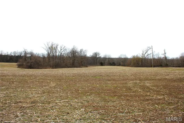 $176,000 | 2 Monroe Road 875, Paris, MO 65275