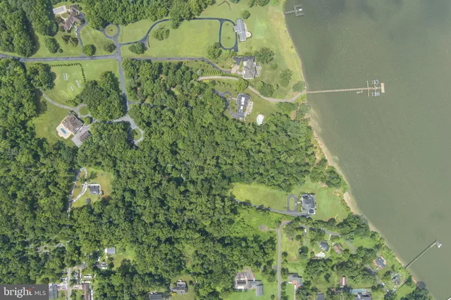 a close up of a plant in a garden