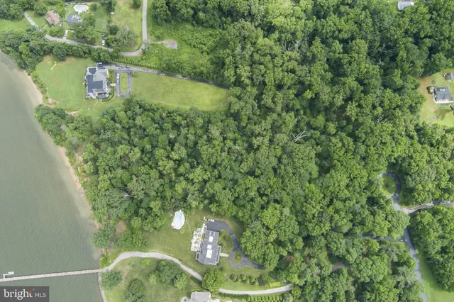 a view of a forest from a window
