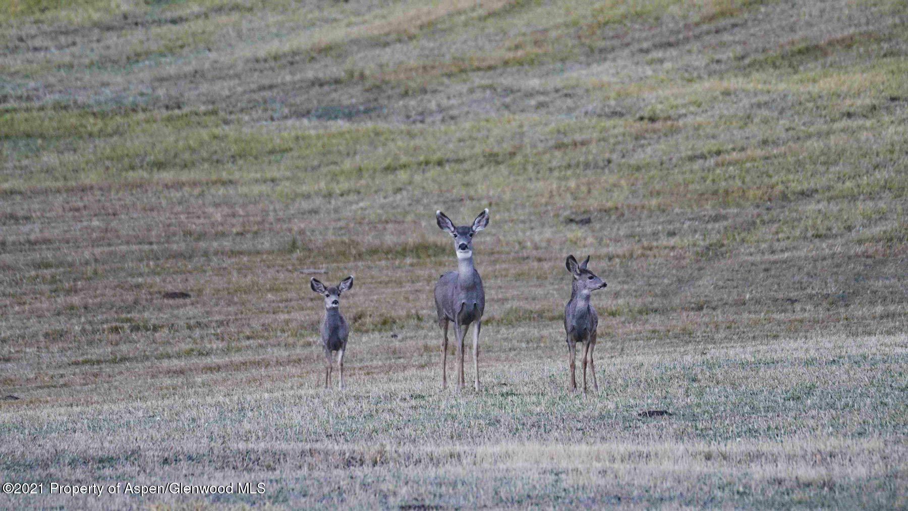 1864 Sweetwater Road Gypsum, CO 81637 - Photo 14 of 25 l-quarter-239