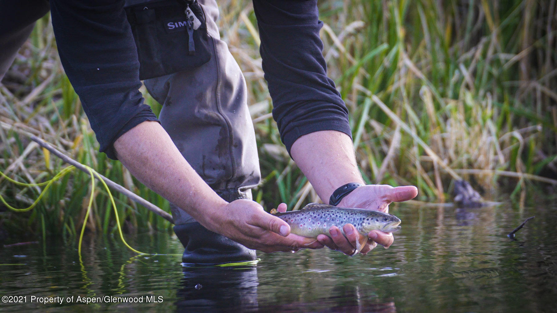 1864 Sweetwater Road Gypsum, CO 81637 - Photo 18 of 25 l-quarter-255