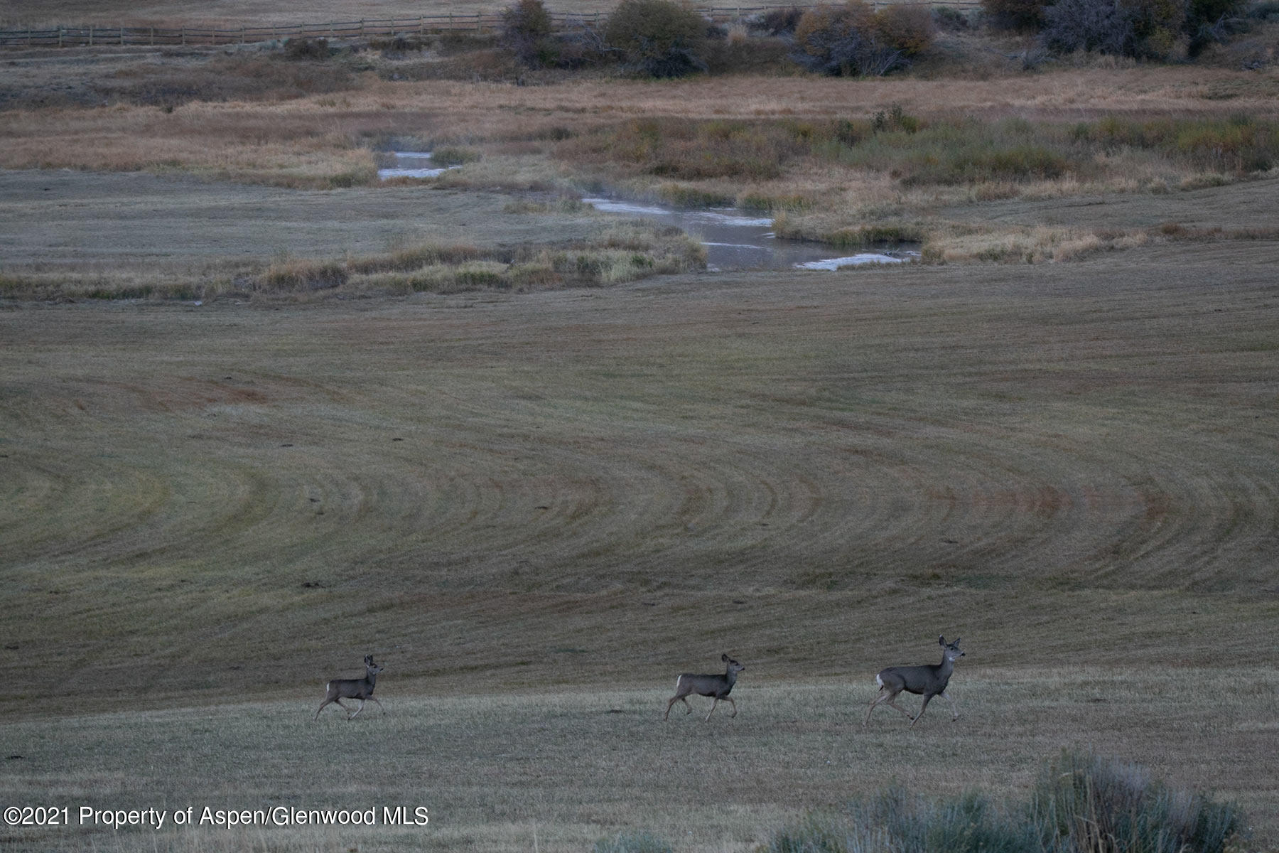 1864 Sweetwater Road Gypsum, CO 81637 - Photo 20 of 25 l-quarter-133