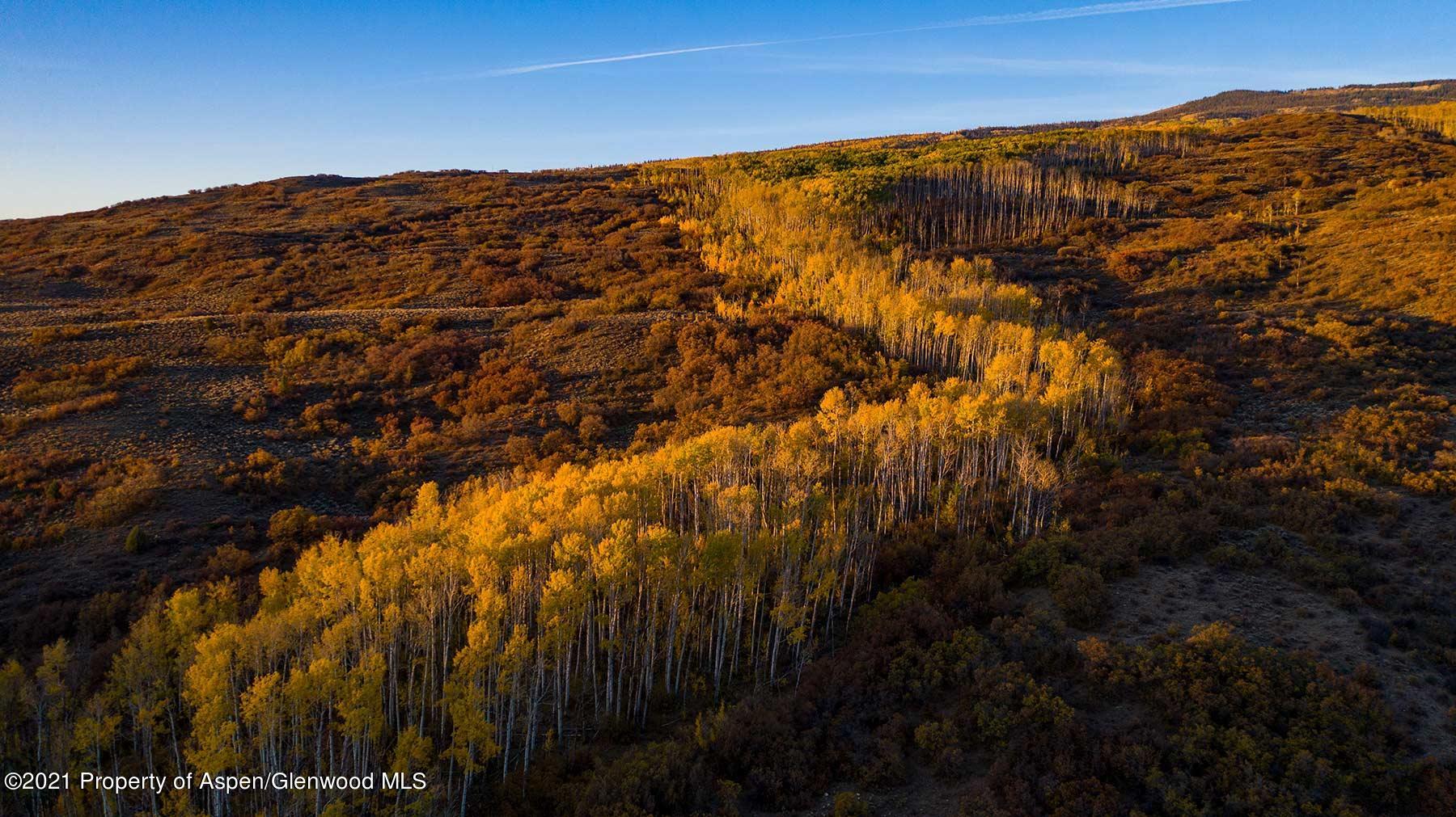 1864 Sweetwater Road Gypsum, CO 81637 - Photo 9 of 25 l-quarter-187