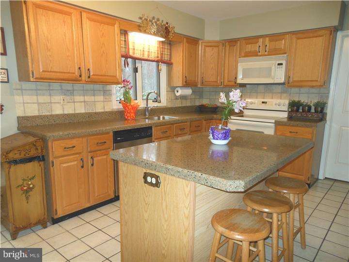 1007 Ashley Road West Chester, PA 19382 - Photo 4 of 21 Kitchen