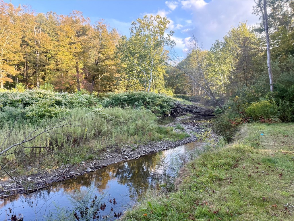 118 Lazy Brook Circle Hallstead, PA 18822 - Photo 31 of 38