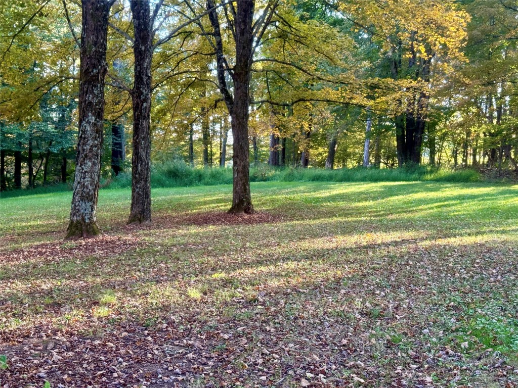 118 Lazy Brook Circle Hallstead, PA 18822 - Photo 35 of 38