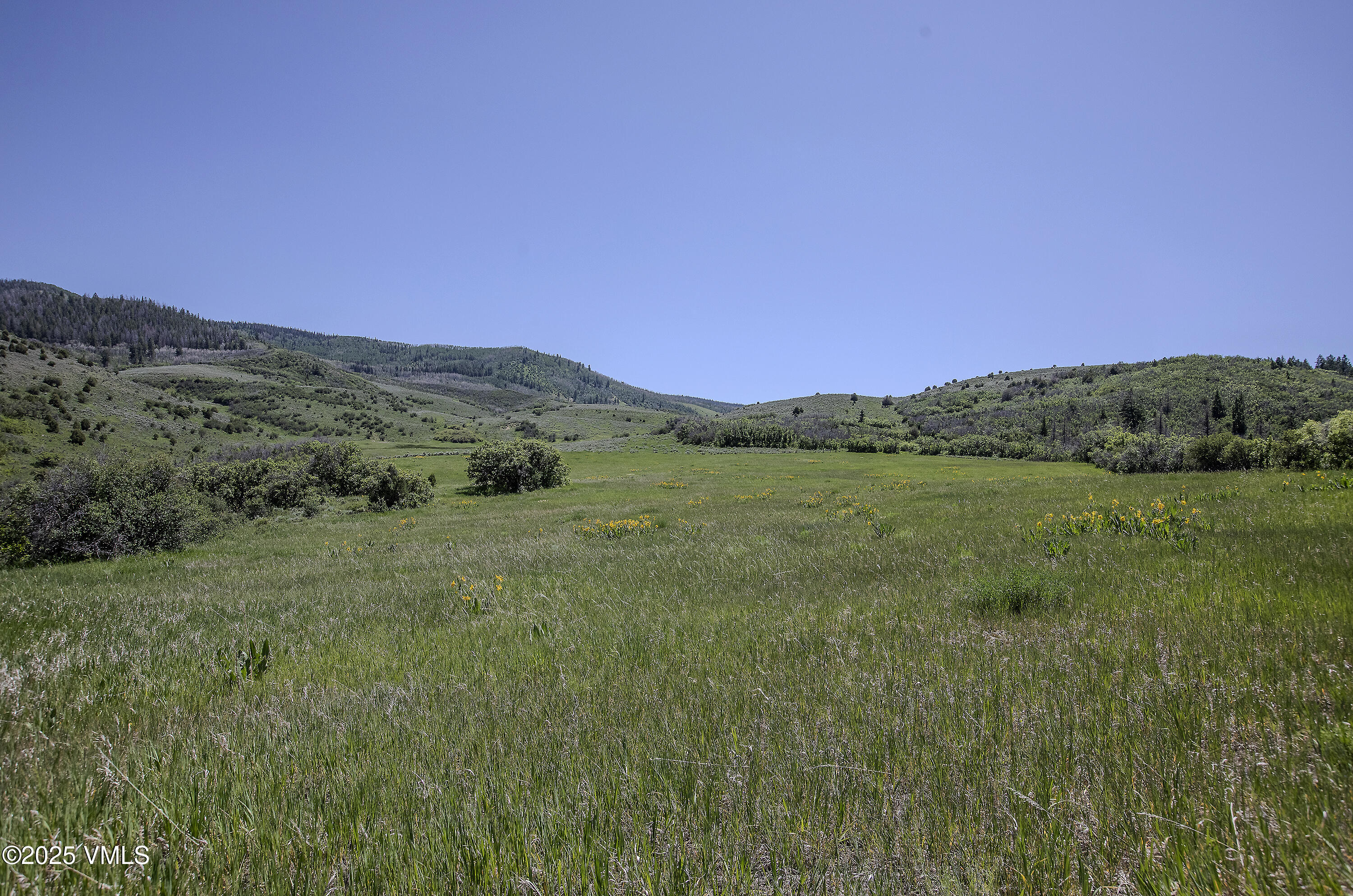 3256 Salt Creek Road Eagle, CO 81631 - Photo 31 of 40 3256 Salt Creek