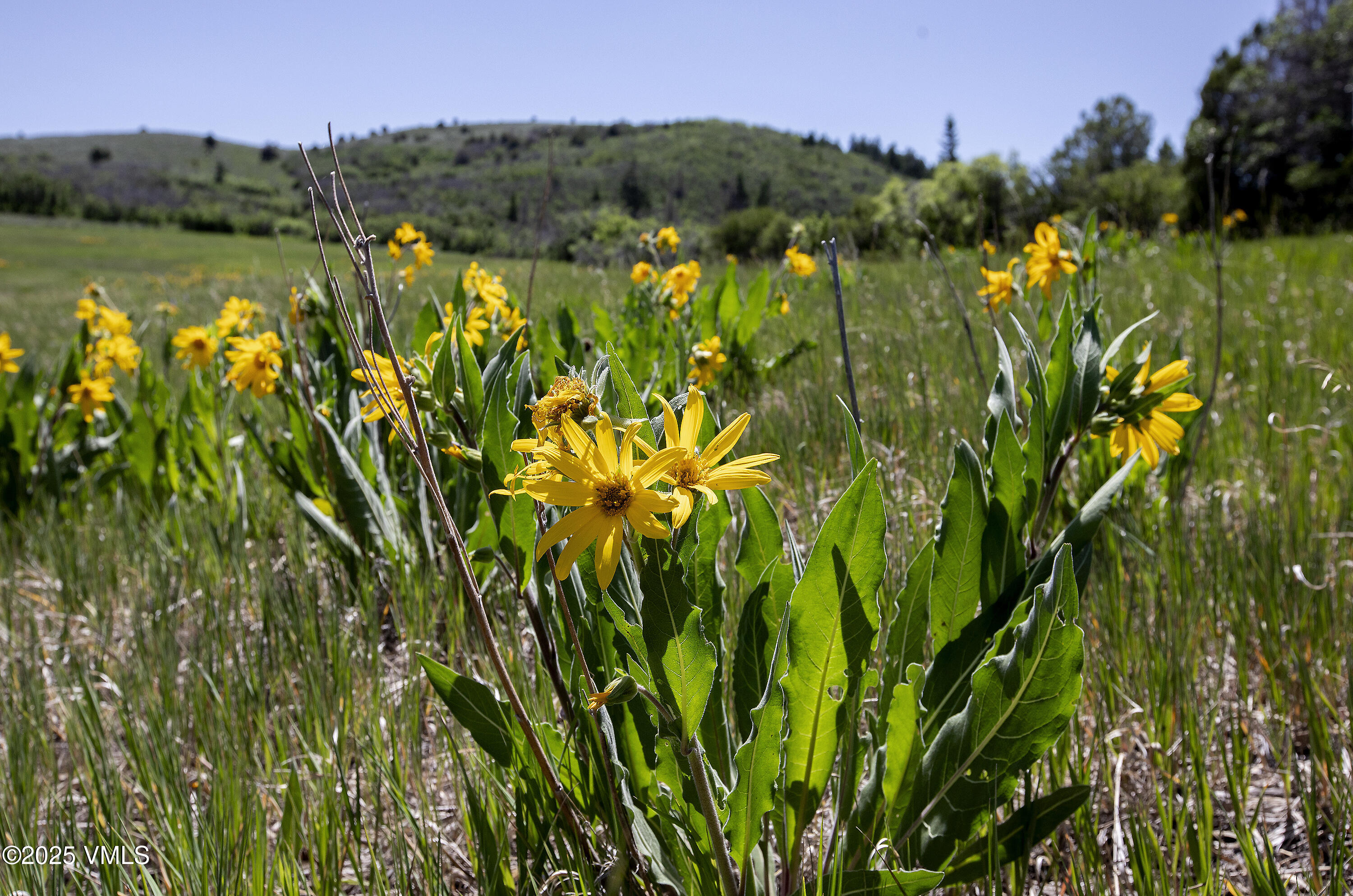 3256 Salt Creek Road Eagle, CO 81631 - Photo 33 of 40 3256 Salt Creek