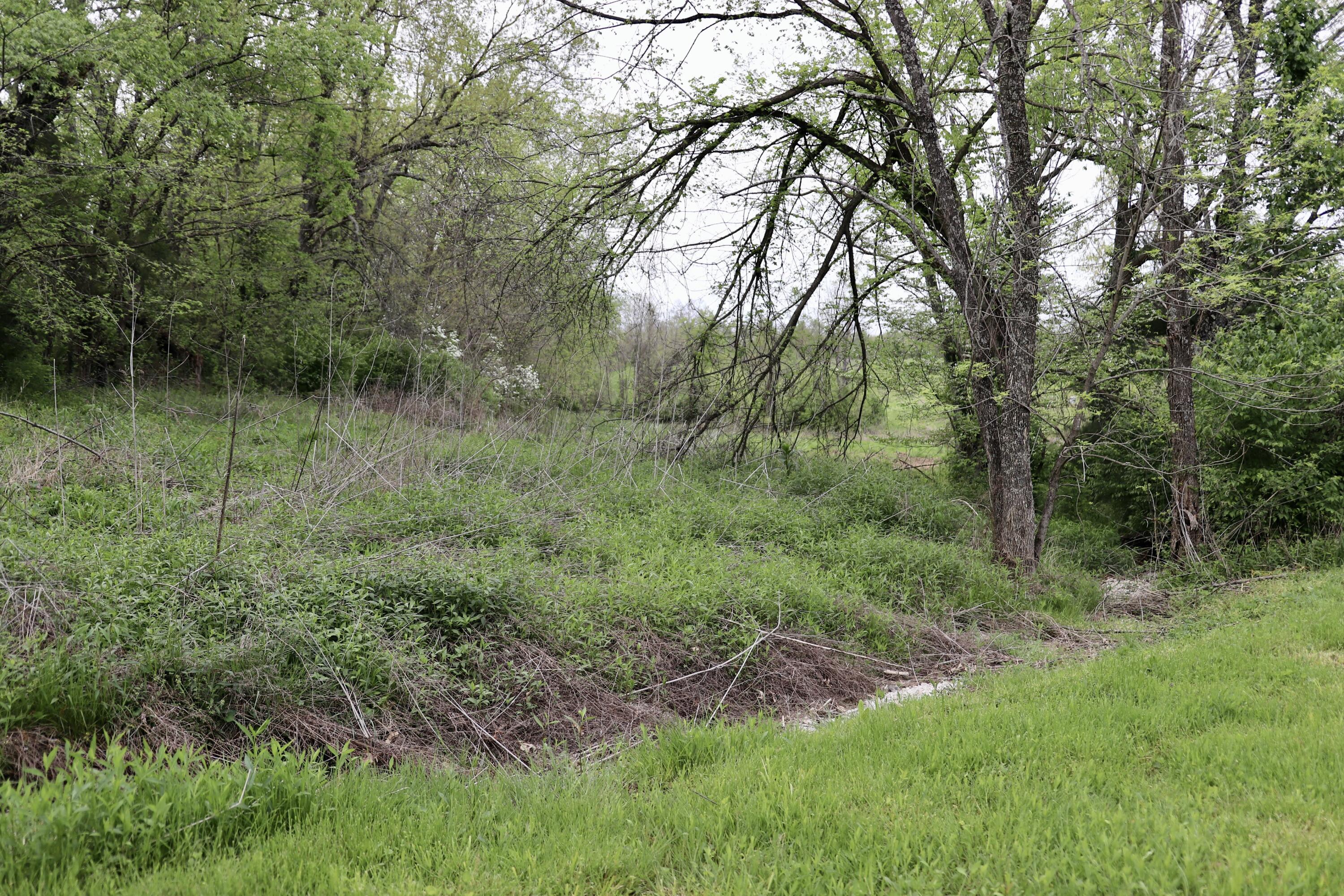 1874 Welch Road Jeffersonville, KY 40337 - Photo 24 of 30 IMG_9581
