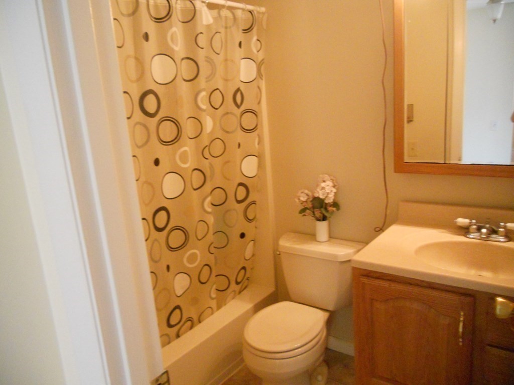 65 Leonard Road, Unit 65 Boxborough, MA 01719 - Photo 11 of 14 a bathroom with a sink a toilet and a mirror